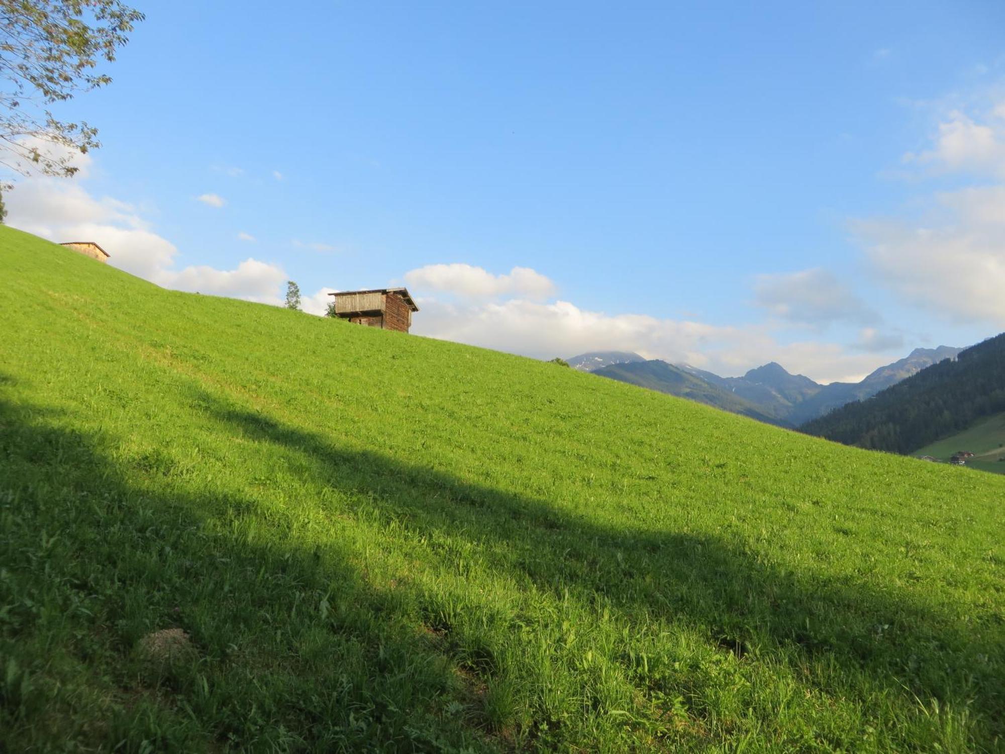Pension Muehlbachhof Alpbach Eksteriør bilde